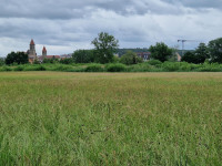 Storchenbiotop Gunzenhausen